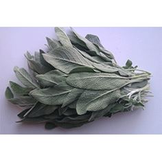 Salvie 70 g - BUNDT