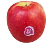 Æbler Pink Lady - STK