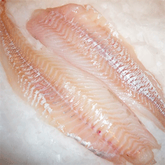 Torskefilet u. skind u. ben 0,4-0,6 kg