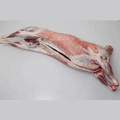 Hele Lam ca. 15 kg