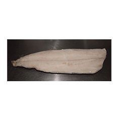 Escolar filet skin on Bonelees "smørfisk"1-2 kg*