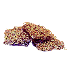 Ægnudler fuldkorn 6 kg