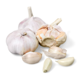 FRISK HVIDLØG PS , 500g