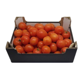 TOMATER FRISKE G67 +6 KG